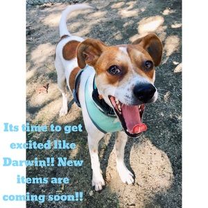 New items coming soon - stay tuned!!🤗